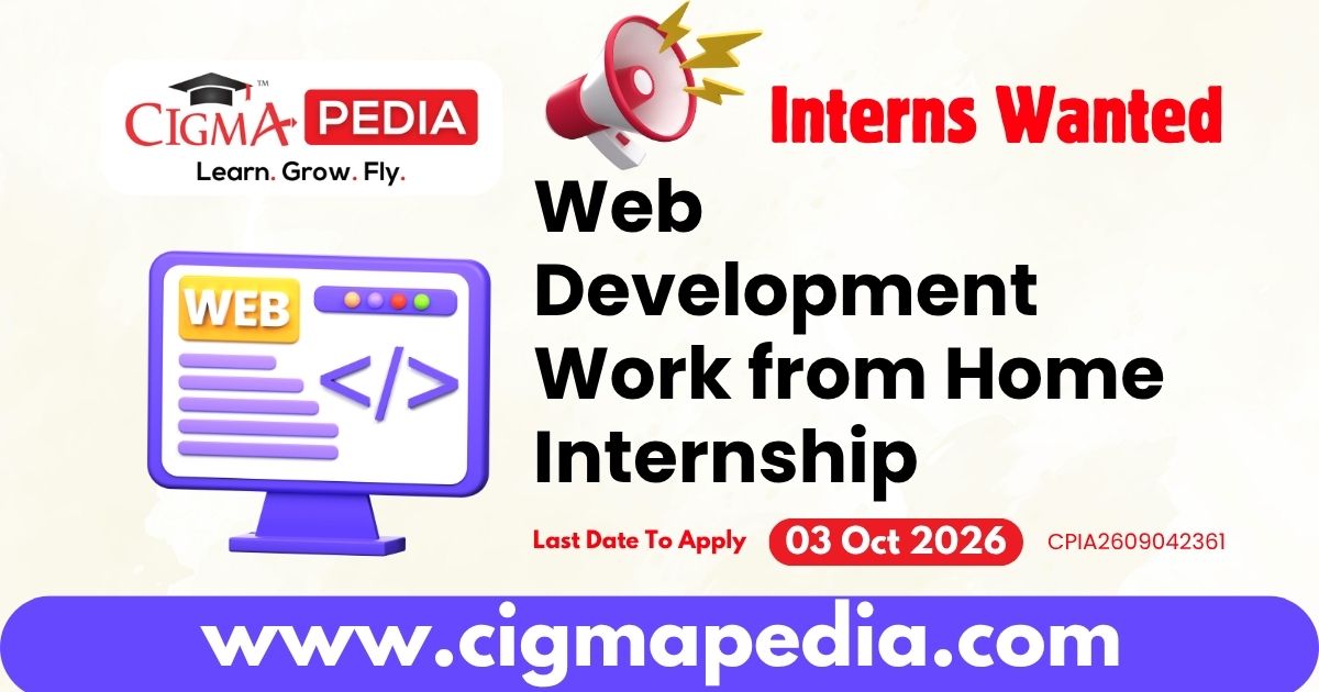 Web Development Work from Home Internship