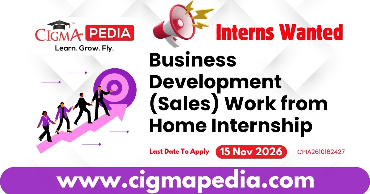 Business Development (Sales) Work from Home Internship