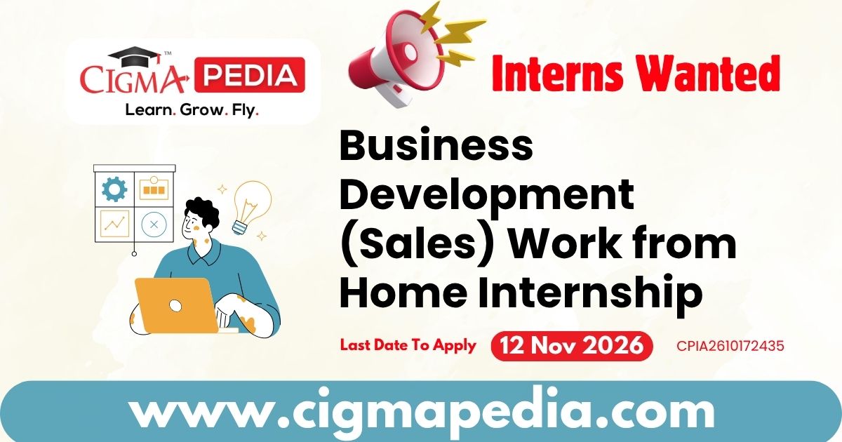 Business Development (Sales) Work from Home Internship
