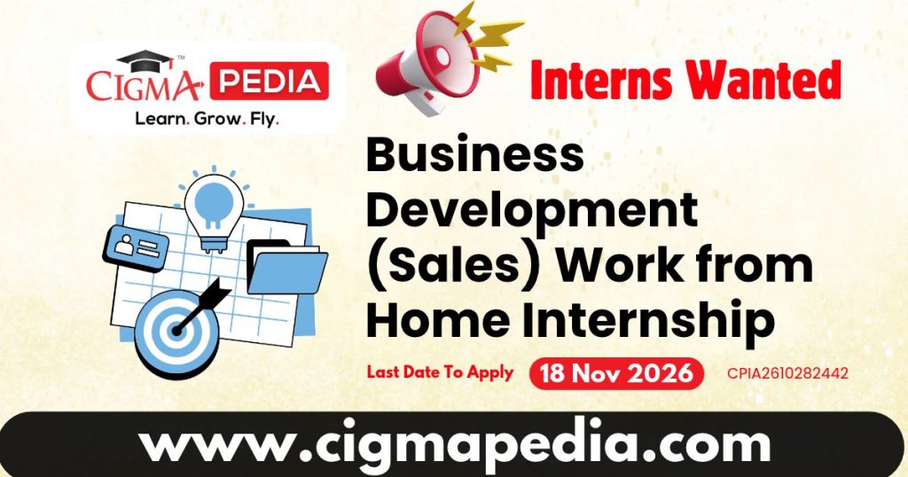 Business Development (Sales) Work from Home Internship