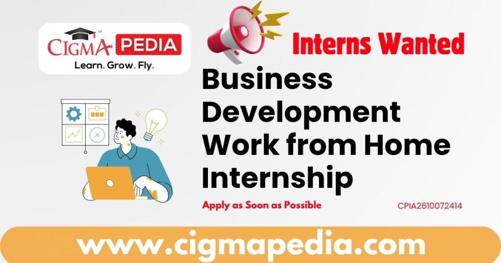 Business Development Work from Home Internship