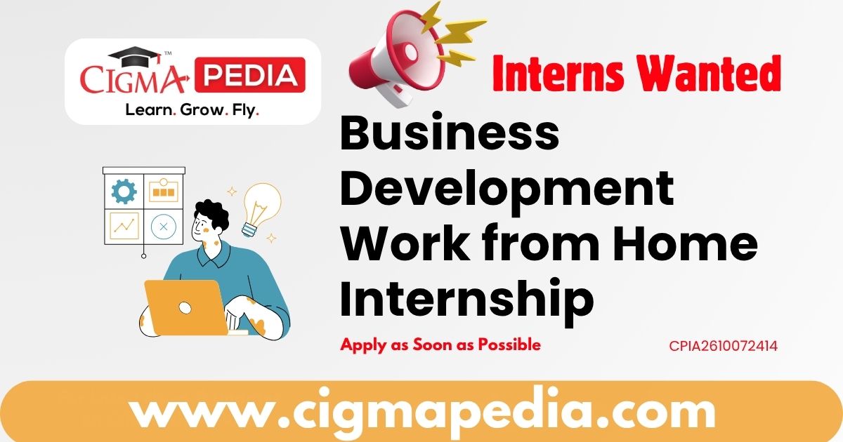 Business Development Work from Home Internship