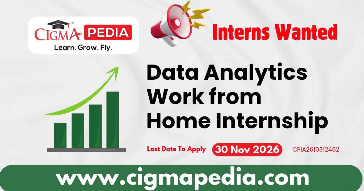 Data Analytics Work from Home Internship