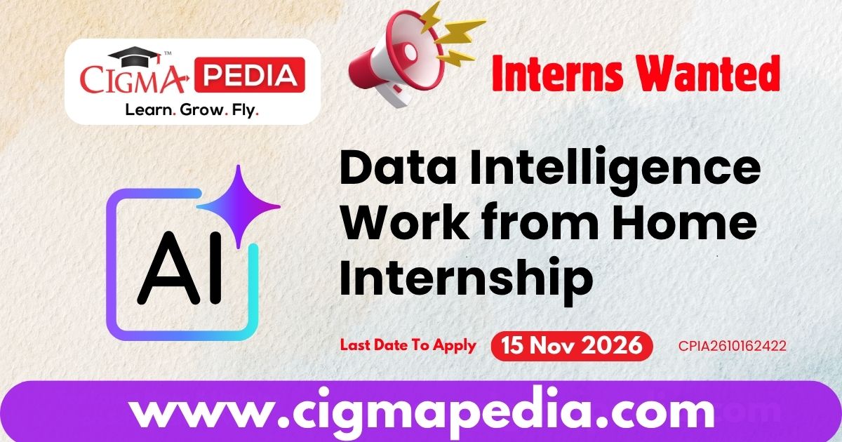 Data Intelligence Work from Home Internship