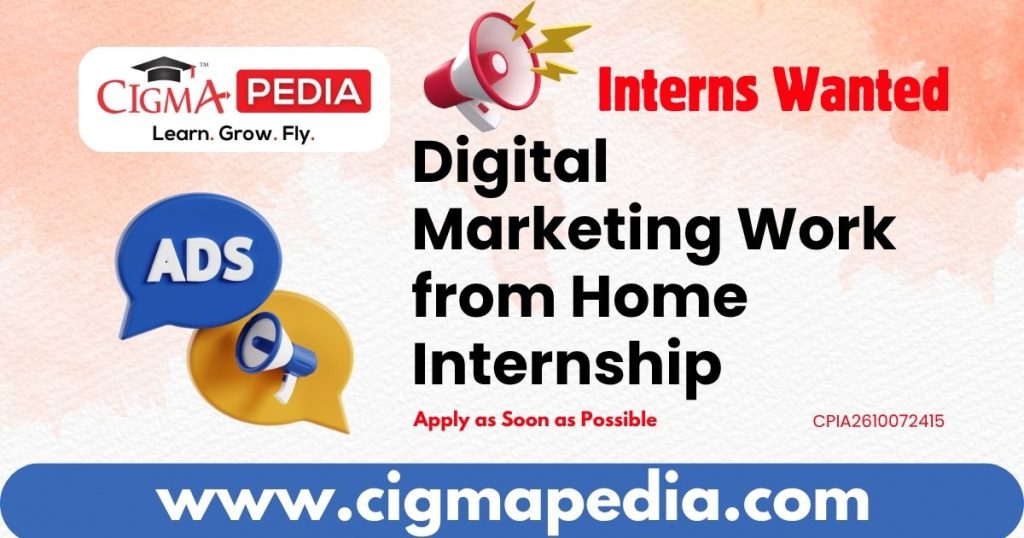 Digital Marketing Work from Home Internship