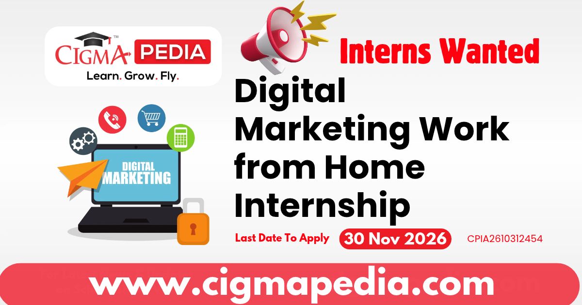 Digital Marketing Work from Home Internship