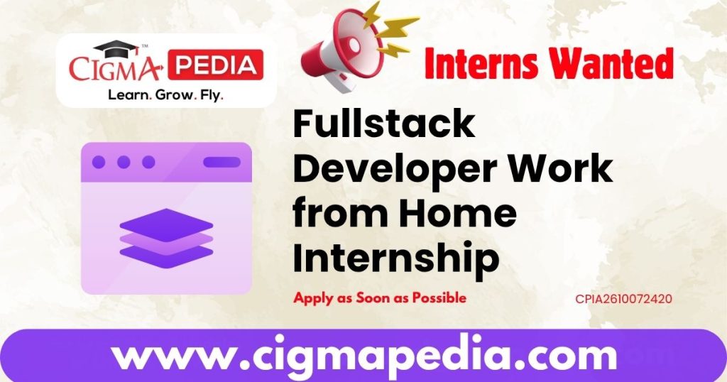 Fullstack Developer Work from Home Internship