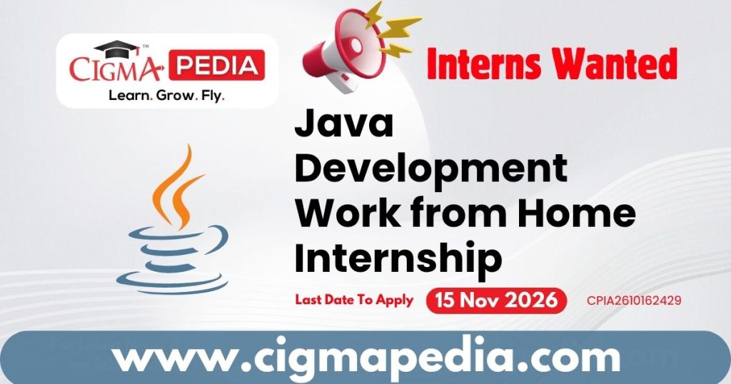 Java Development Work from Home Internship