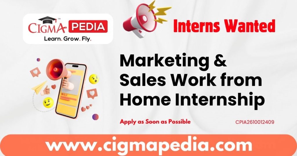 Marketing & Sales Work from Home Internship