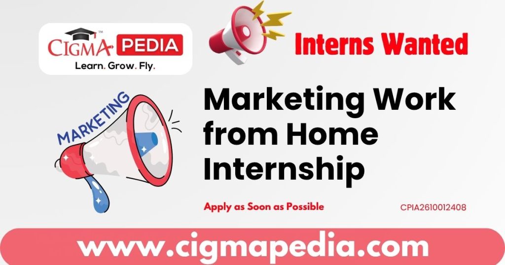 Marketing Work from Home Internship