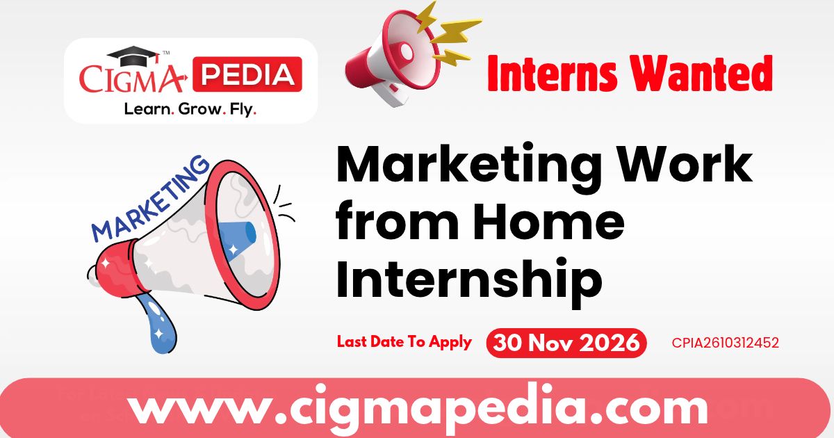 Marketing Work from Home Internship