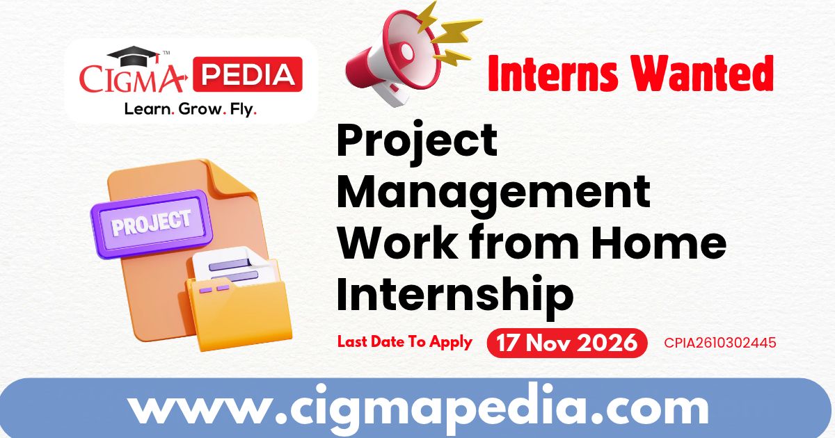 Project Management Work from Home Internship