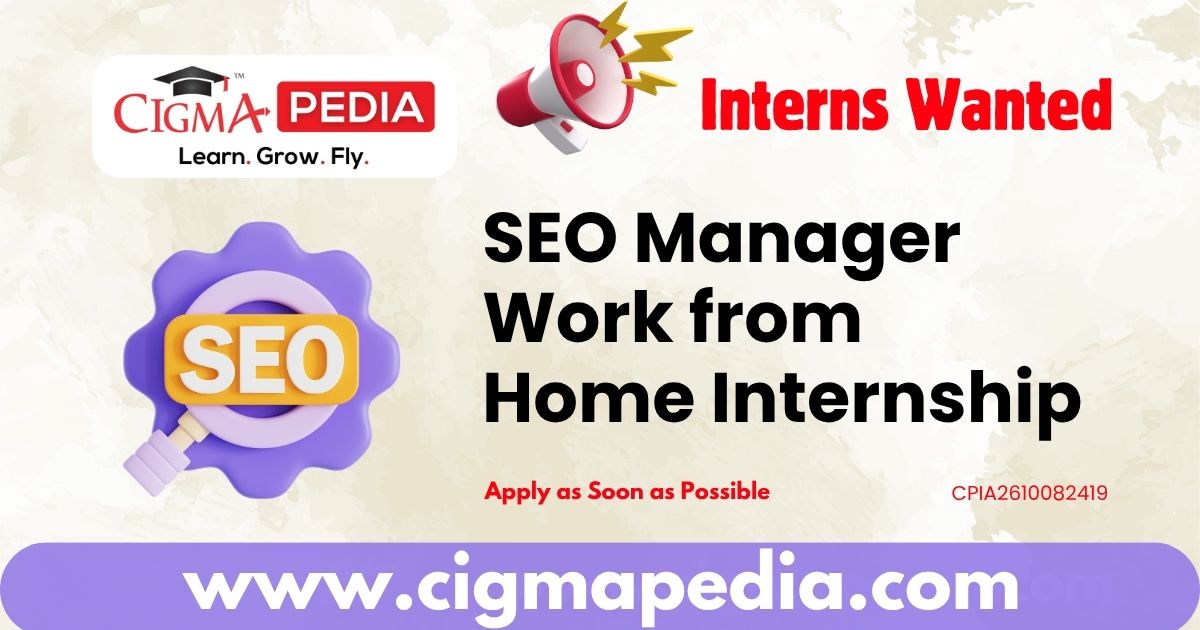 SEO Manager Work from Home Internship