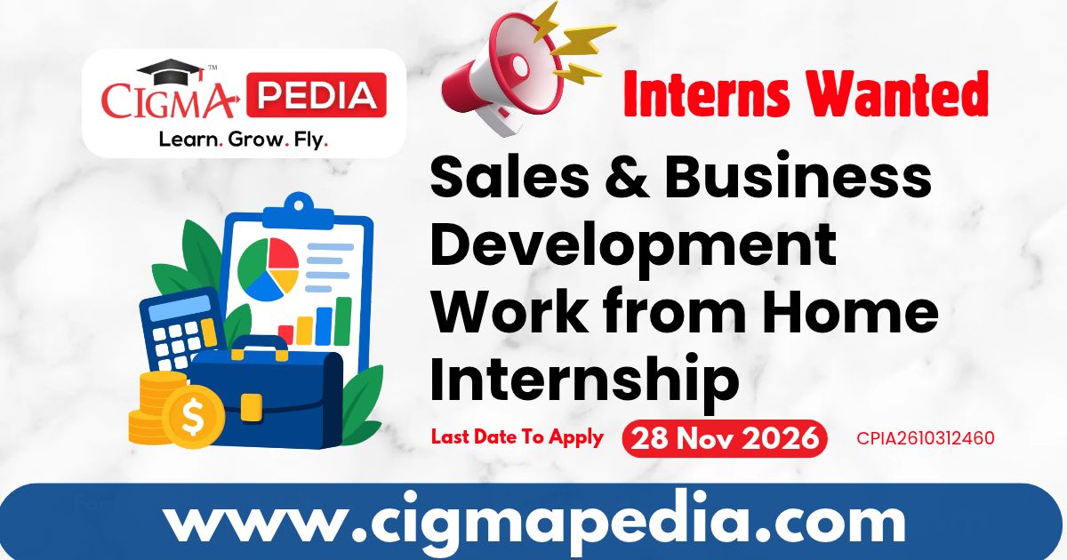 Sales & Business Development Work from Home Internship