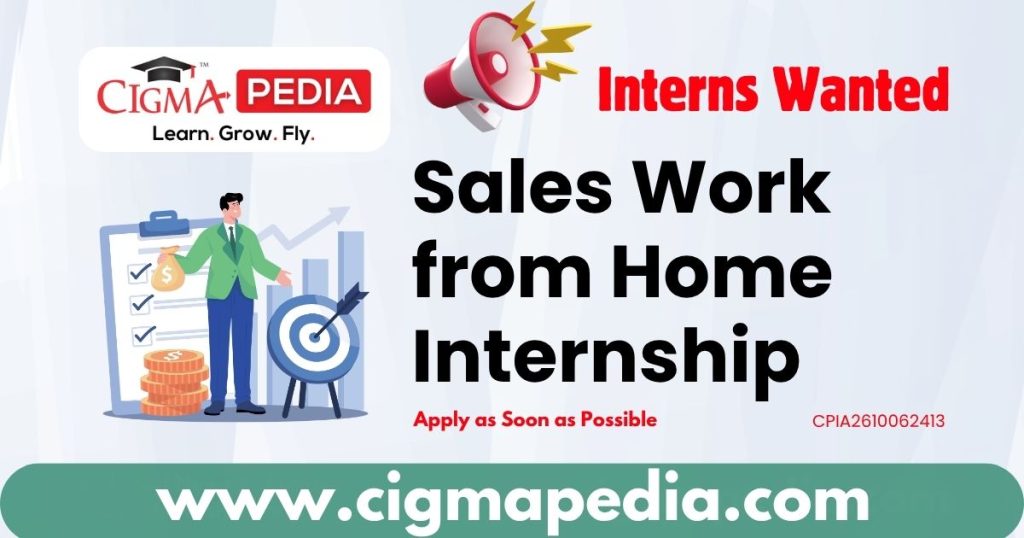 Sales Work from Home Internship