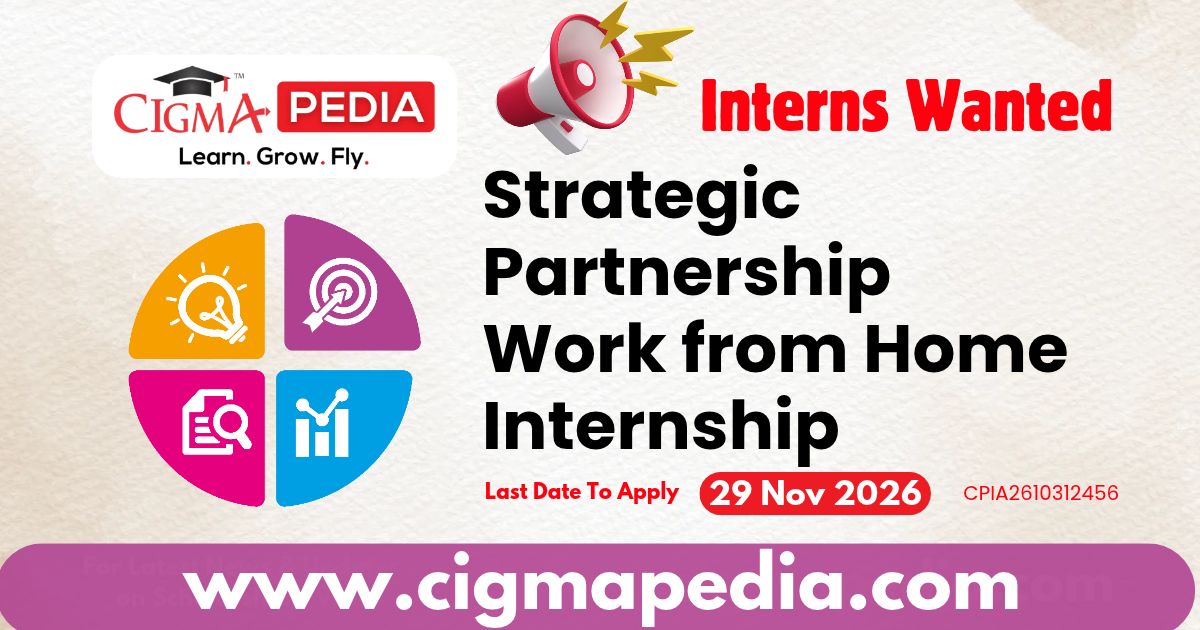 Strategic Partnership Work from Home Internship