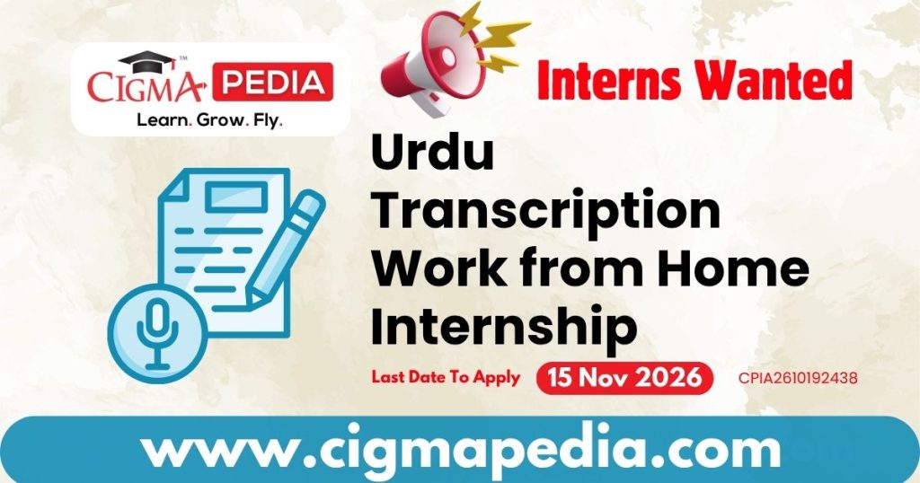 Urdu Transcription Work from Home Internship