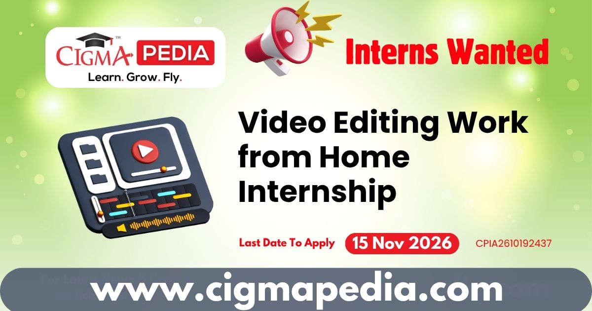 Video Editing Work from Home Internship