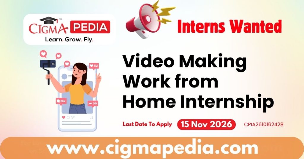 Video Making Work from Home Internship