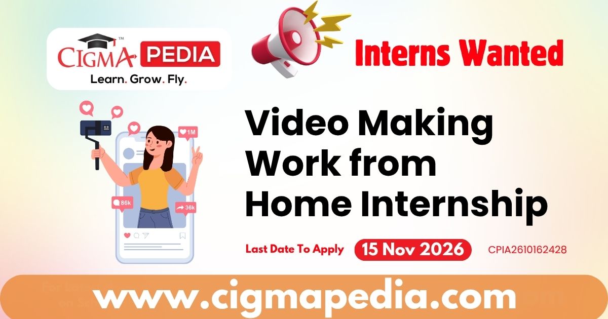 Video Making Work from Home Internship